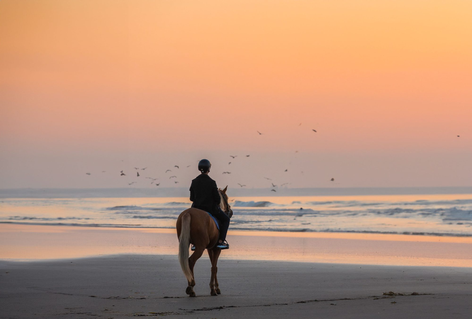 Mazagan, le golf grandeur nature